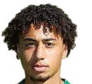 https://img.uvueme.com/img/football/player/347a6d58ae7ec0425a4d42bc9215c411.png